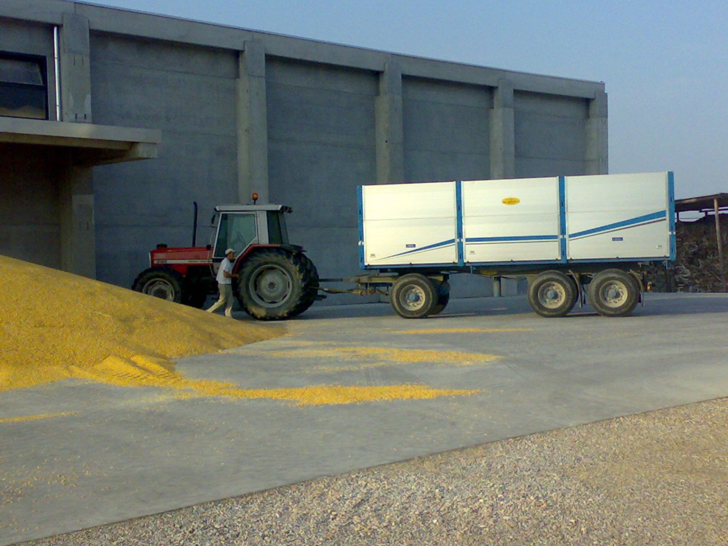 MASSEY FERGUSON 3120 ALLO SCARICO