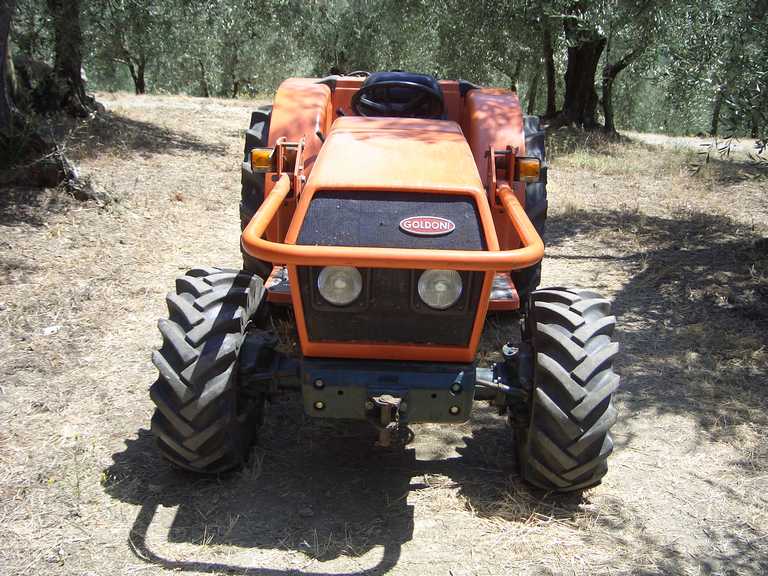 Goldoni 3050 anteriore