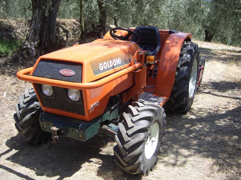 Goldoni 3050 DT