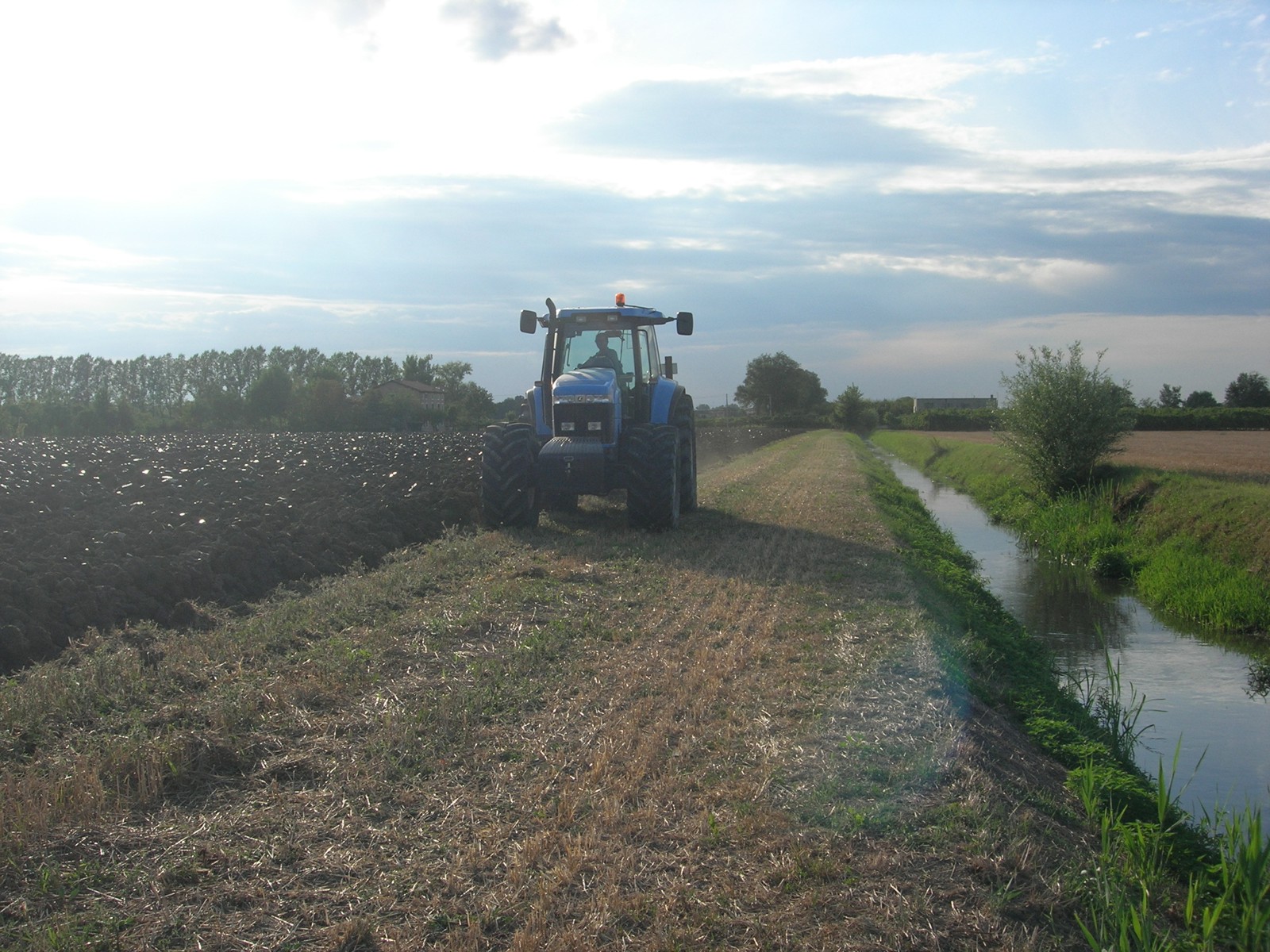 landini starland 210