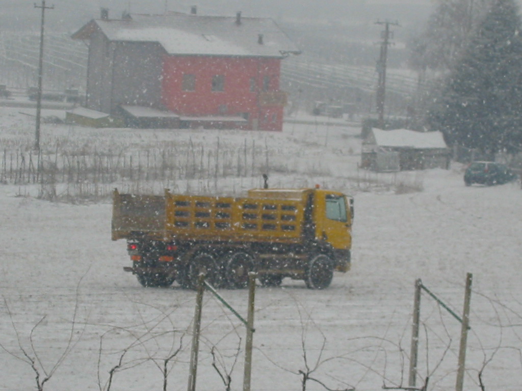 Temerario nei prati senza catene
