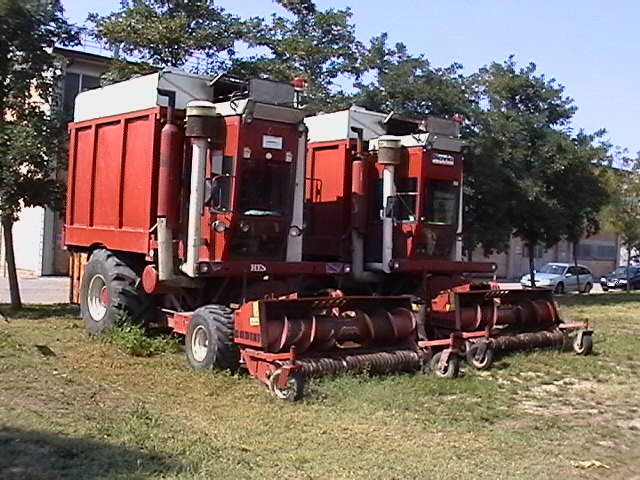 queen field
