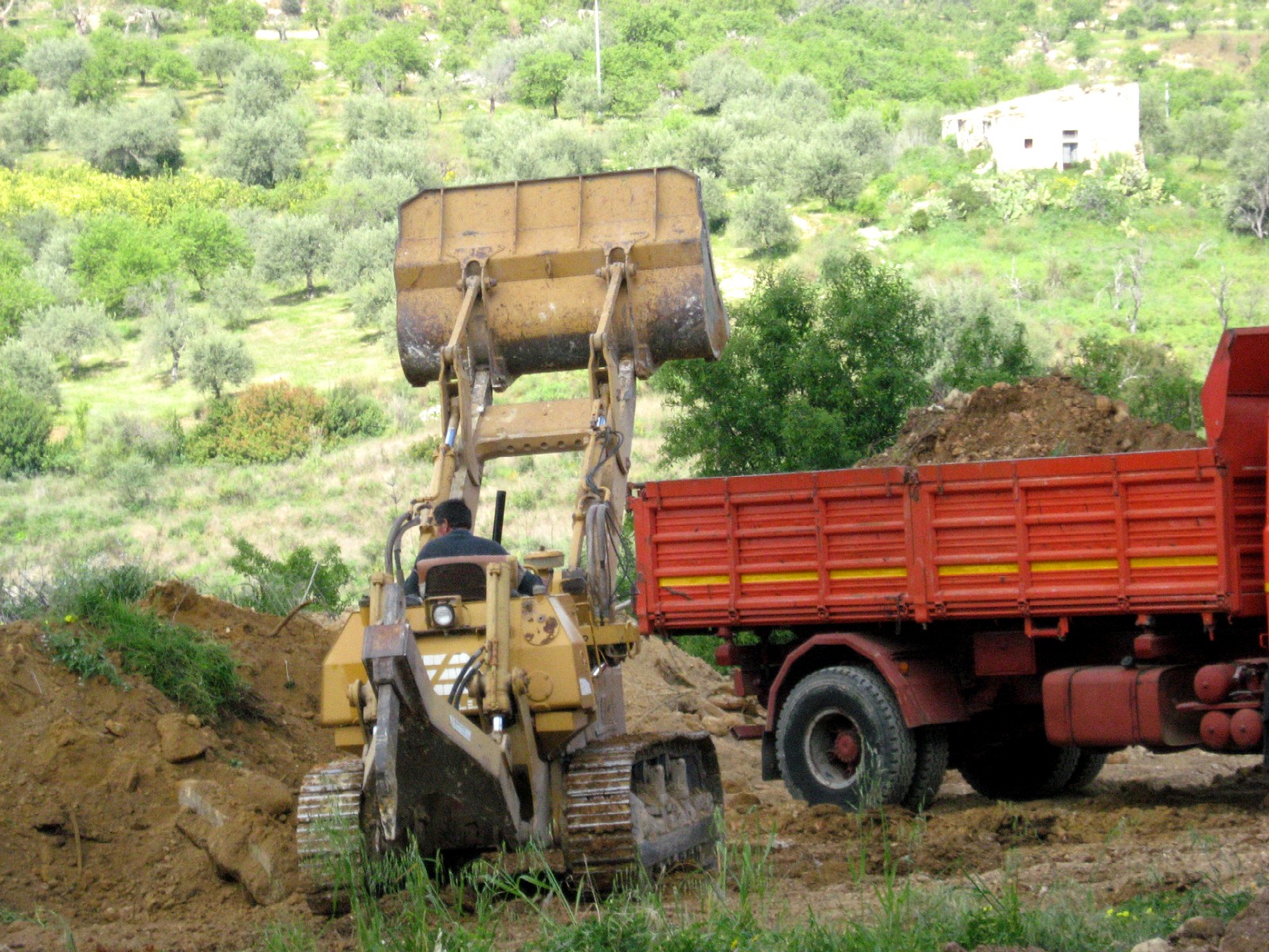 fiat allis fl 10 c
