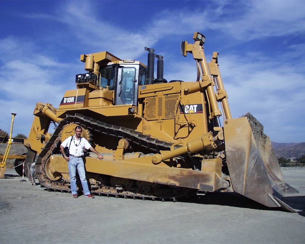 mik e il cat d 10