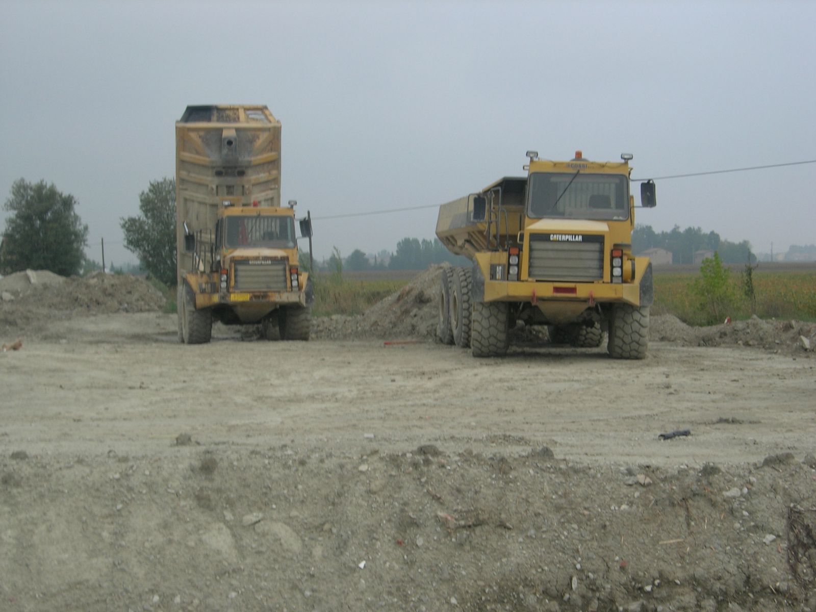 dumper cat