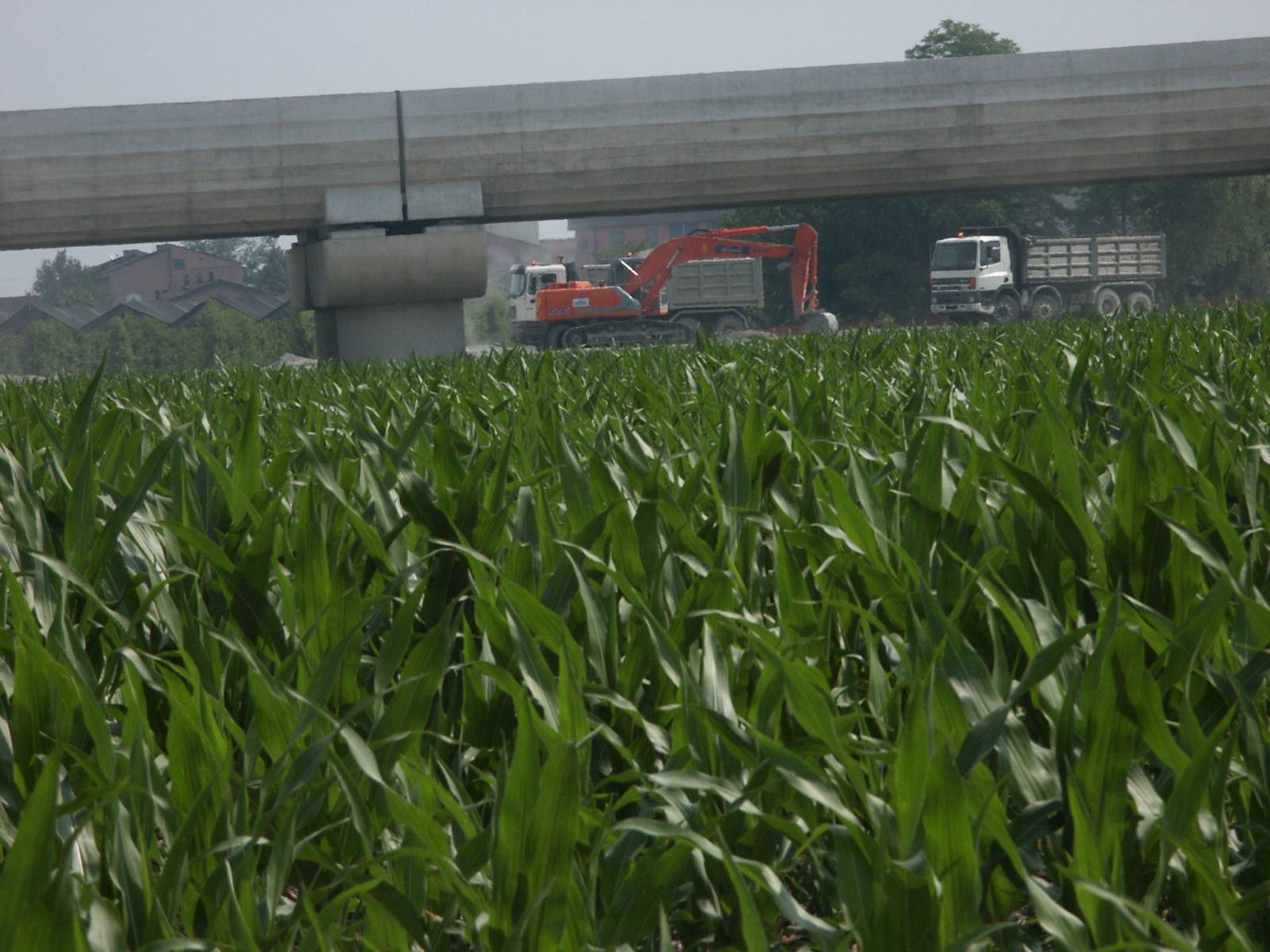 fiat kobelco