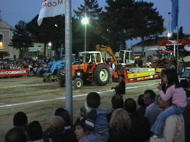 T.P. pezzolo 2005