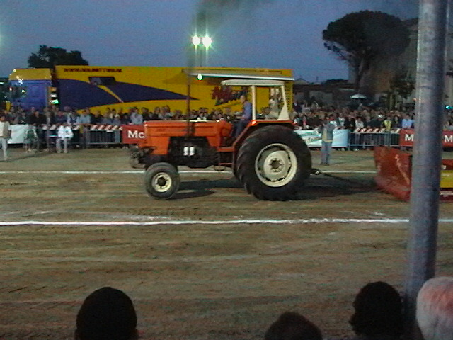 T.P. pezzolo 2005