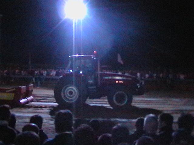 T.P. pezzolo 2005