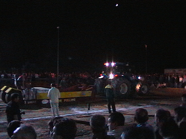 T.P. pezzolo 2005