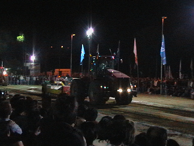 T.P. pezzolo 2005