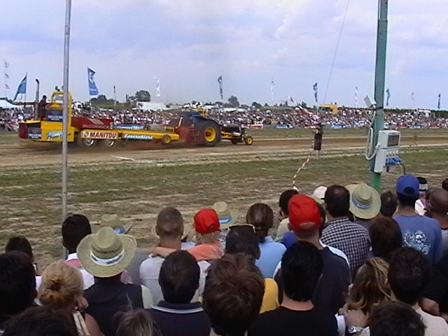 T.P. pezzolo 2005