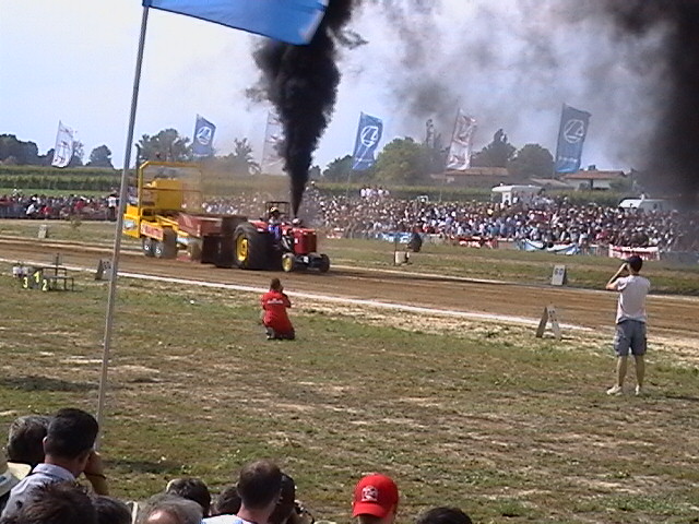 T.P. pezzolo 2005
