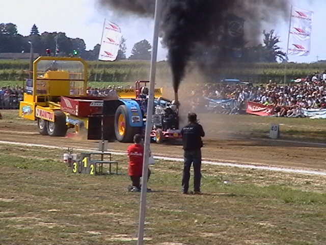 T.P. pezzolo 2005