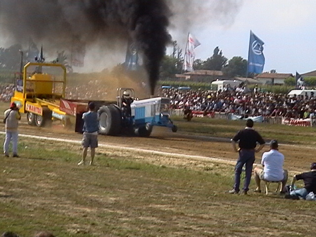 T.P. pezzolo 2005