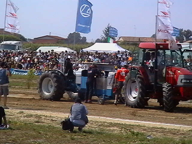 T.P. pezzolo 2005
