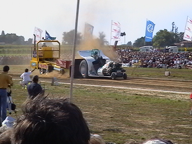 T.P. pezzolo 2005