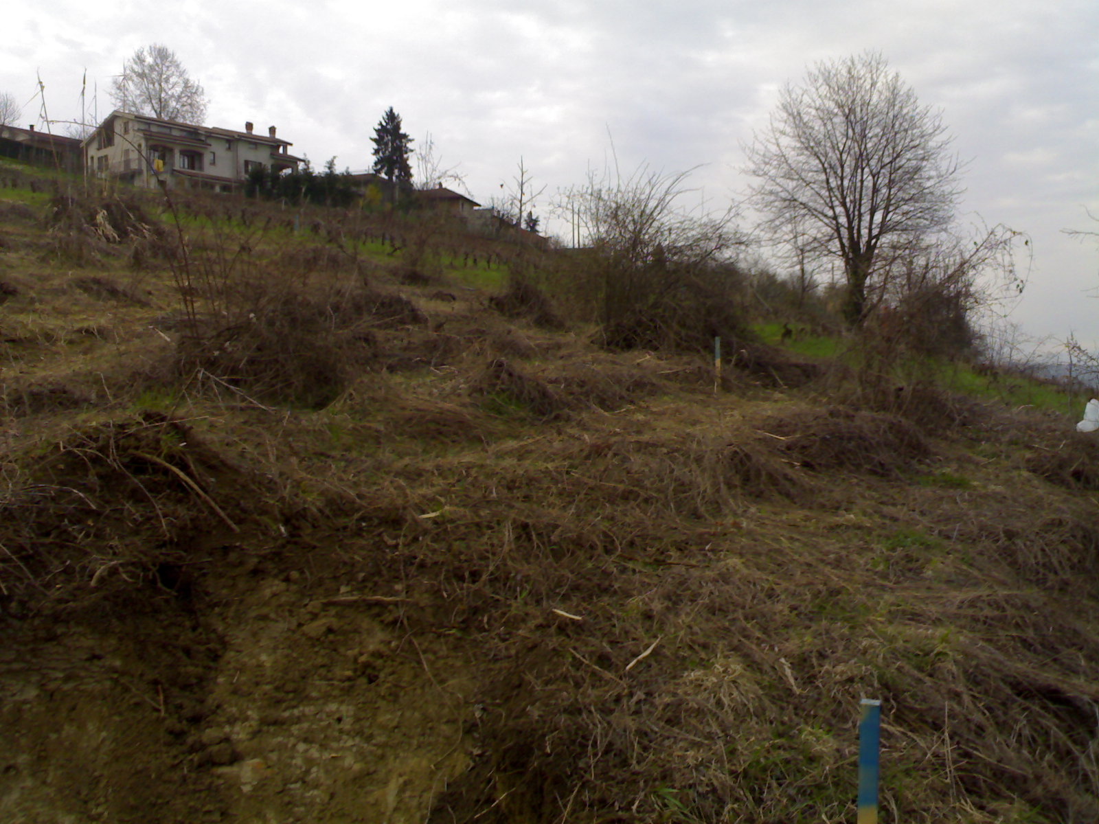 urbanizzazione ....prima