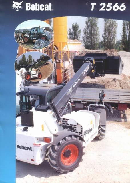 Bobcat