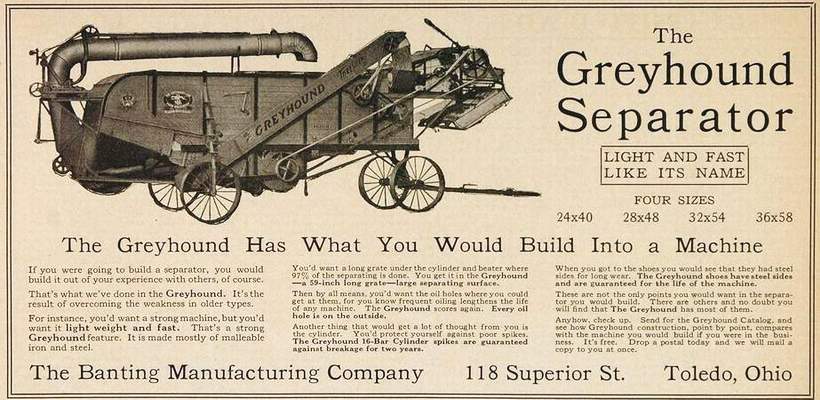 Greyhound