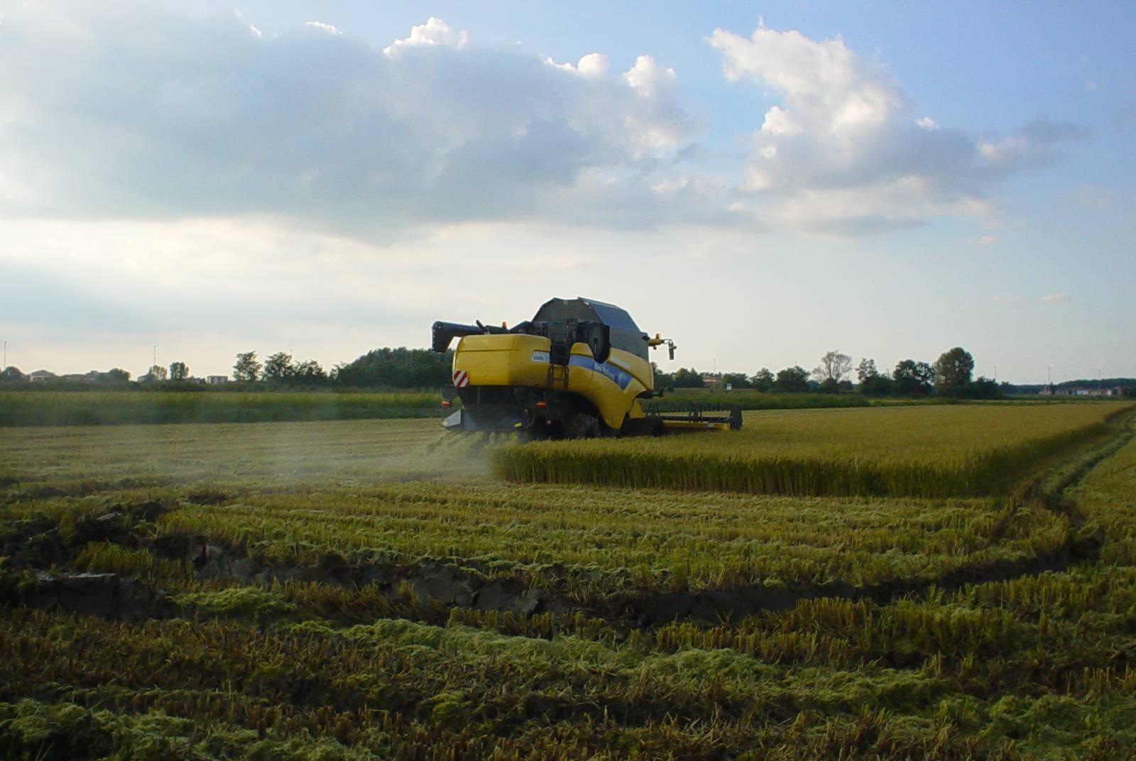 CX 880 in azione