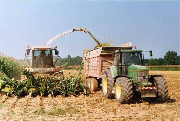 JD con dumper e trincia Claas