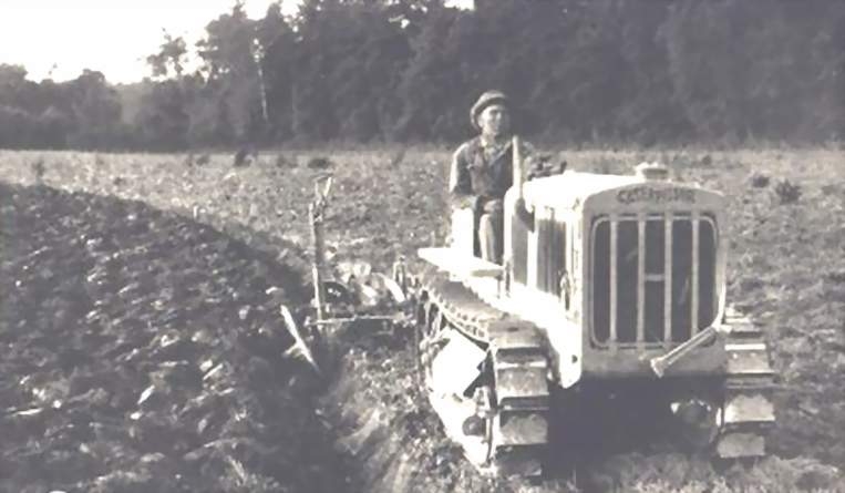 Caterpillar