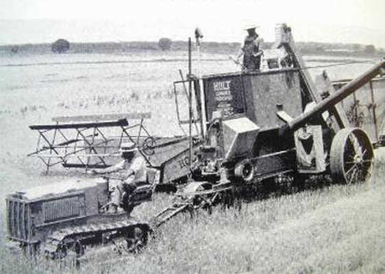 Caterpillar