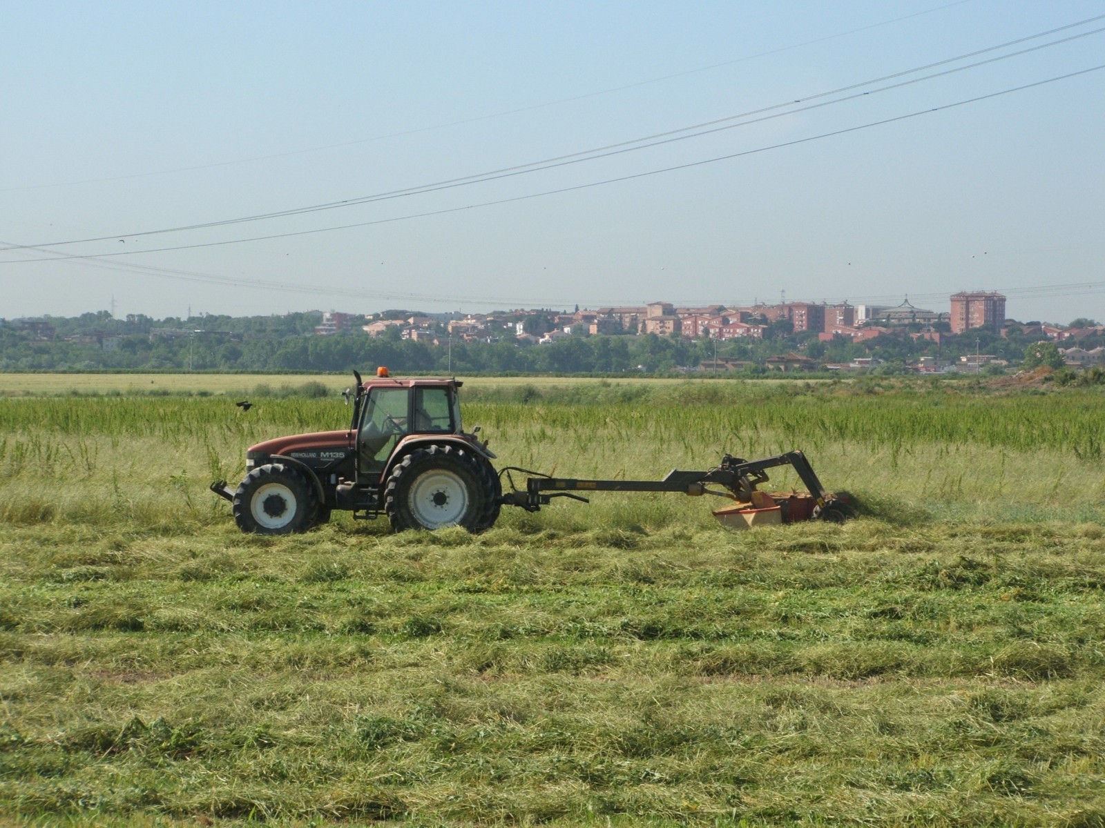 new holland M135 e falciatrice vicon ( piane campo di merlo)