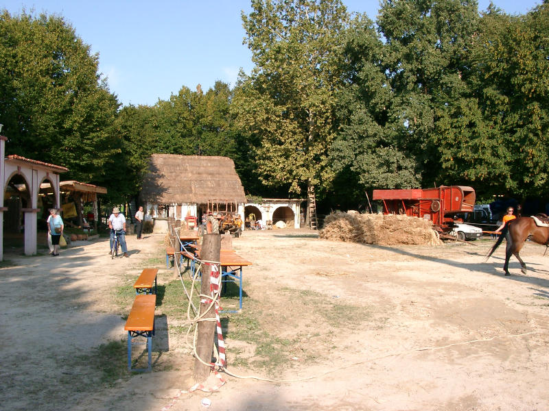 Mirano15