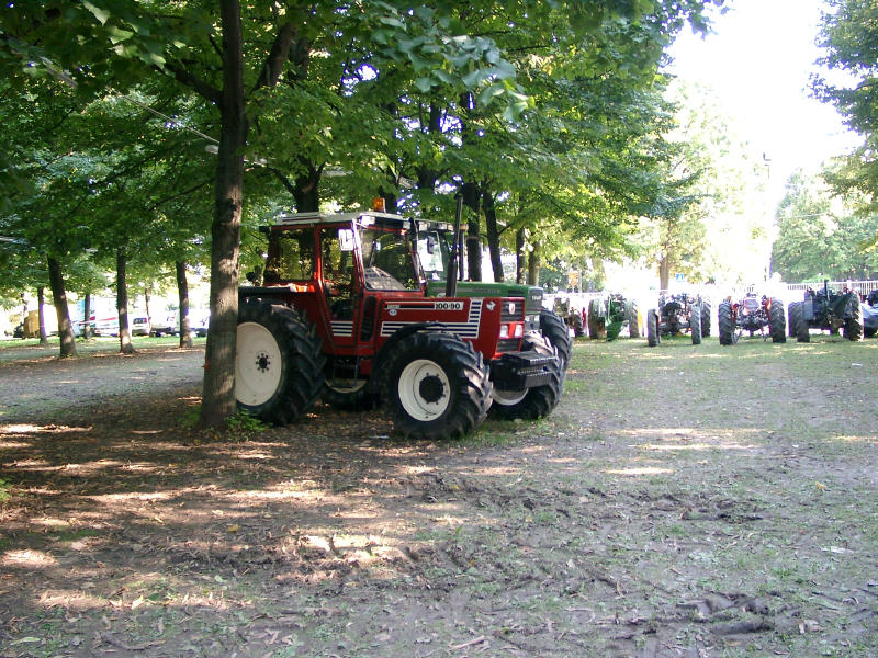 Mirano13