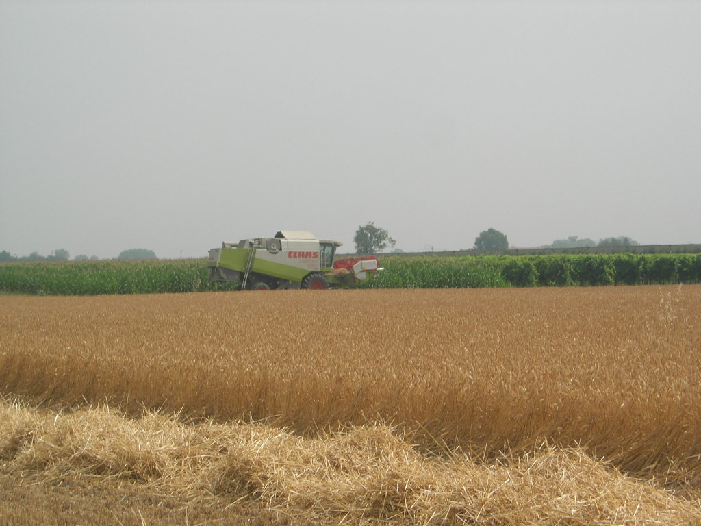 claas lexion 420
