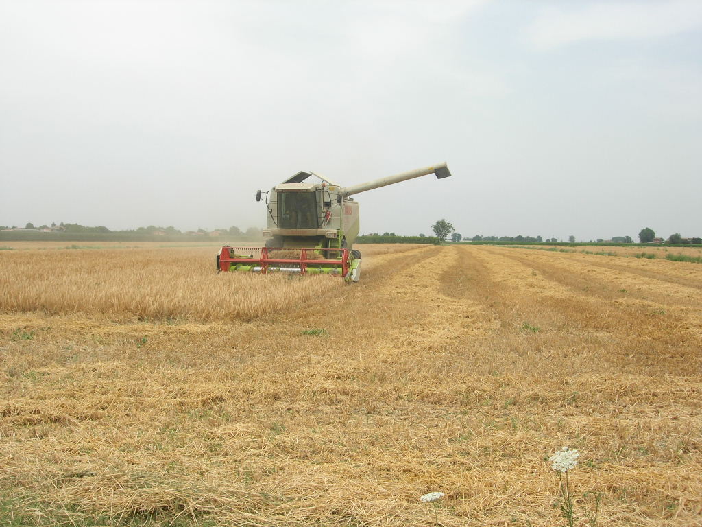 claas lexion 420