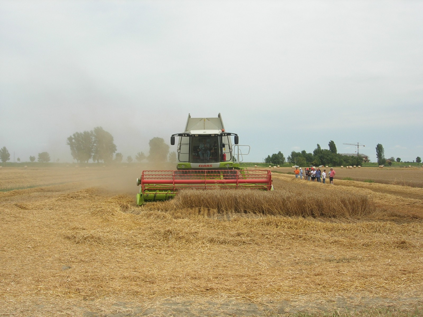 claas lexion 570