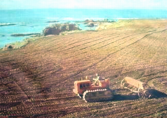 Allis Chalmers HD5
