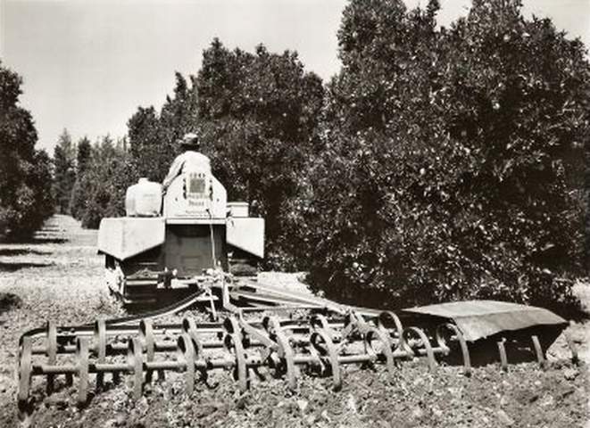 Caterpillar