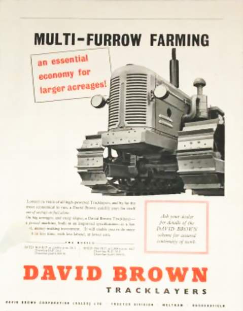 David Brown