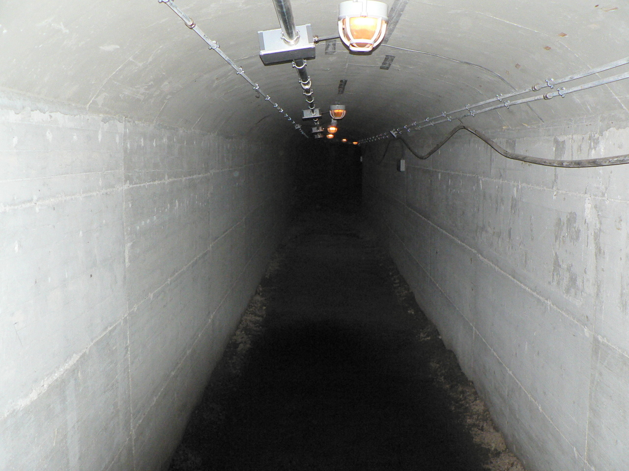 L'inizio della galleria.