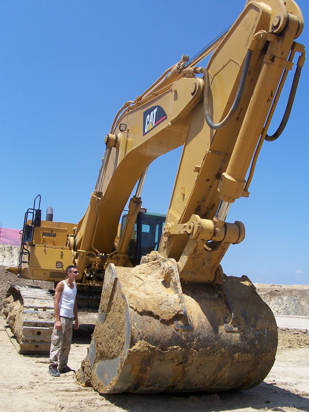 zio best e il 365C LME