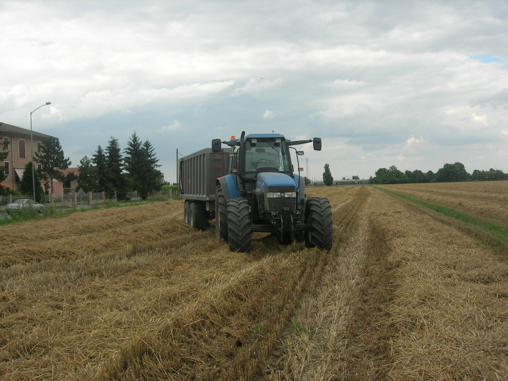 new holland tm 125