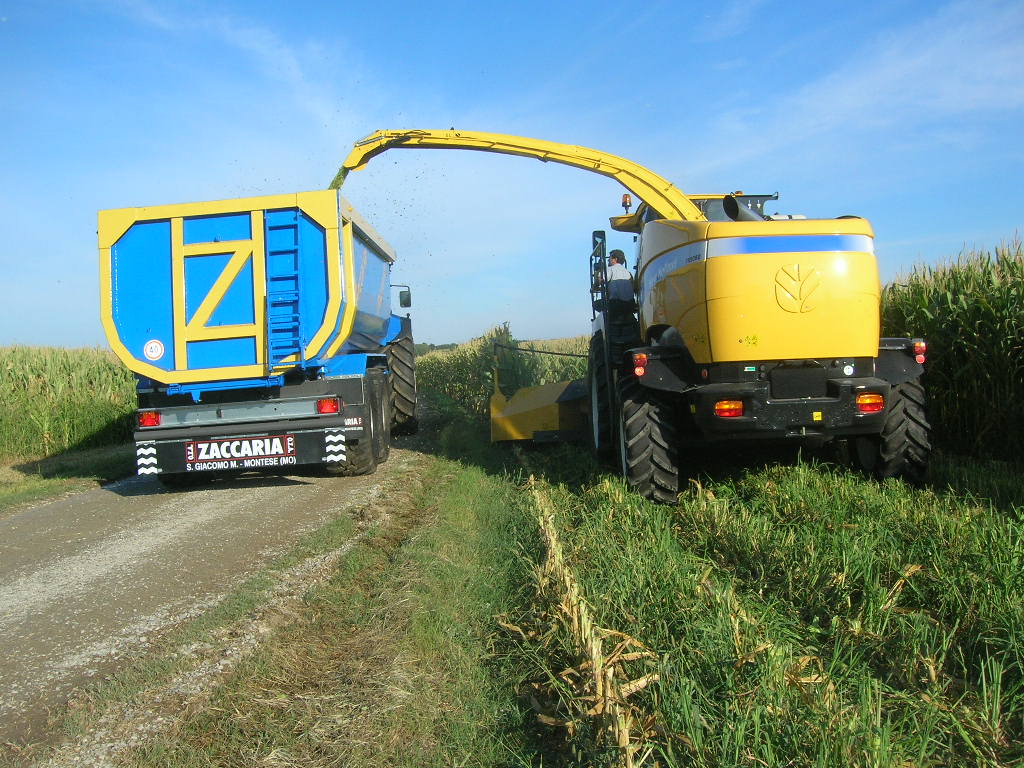 Panico la trincia non và .... part 03