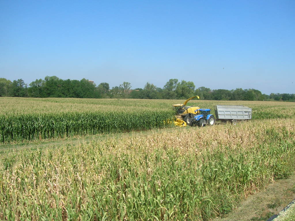 il campettino piccolo piccolo... part 1