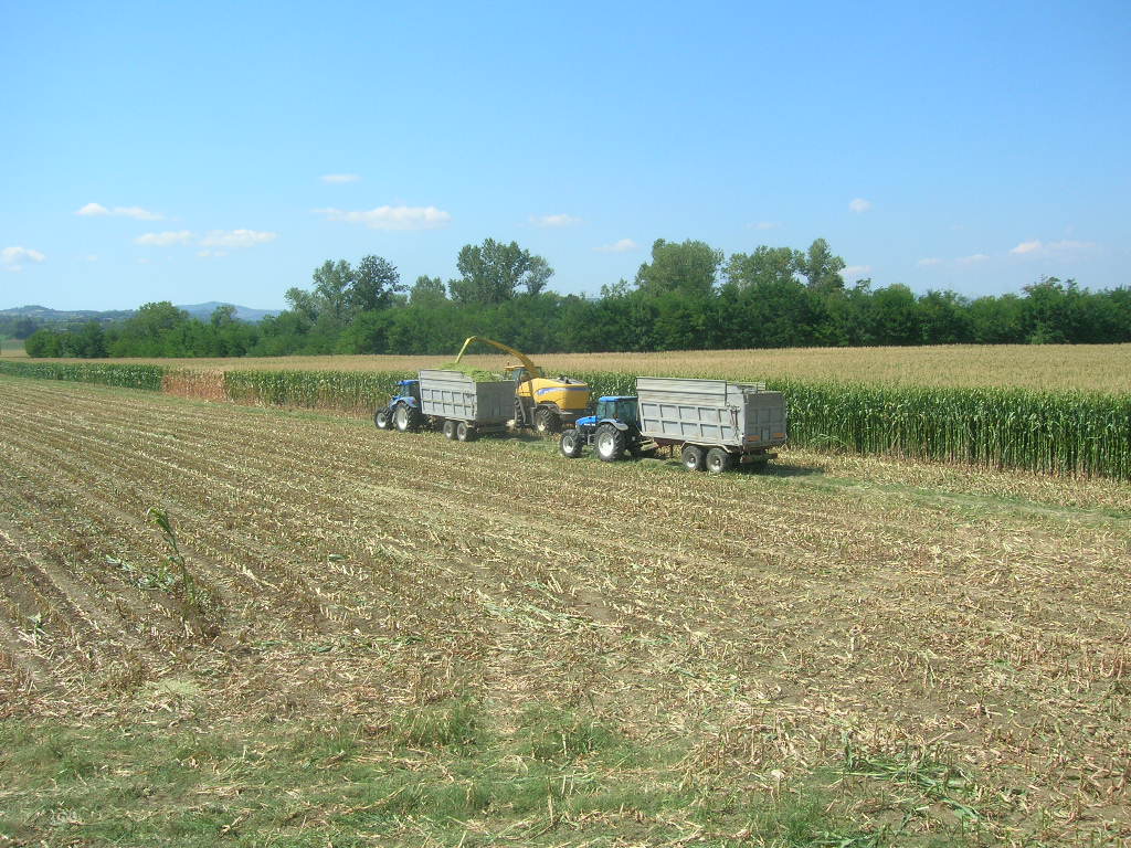 il campettino piccolo piccolo... part 4