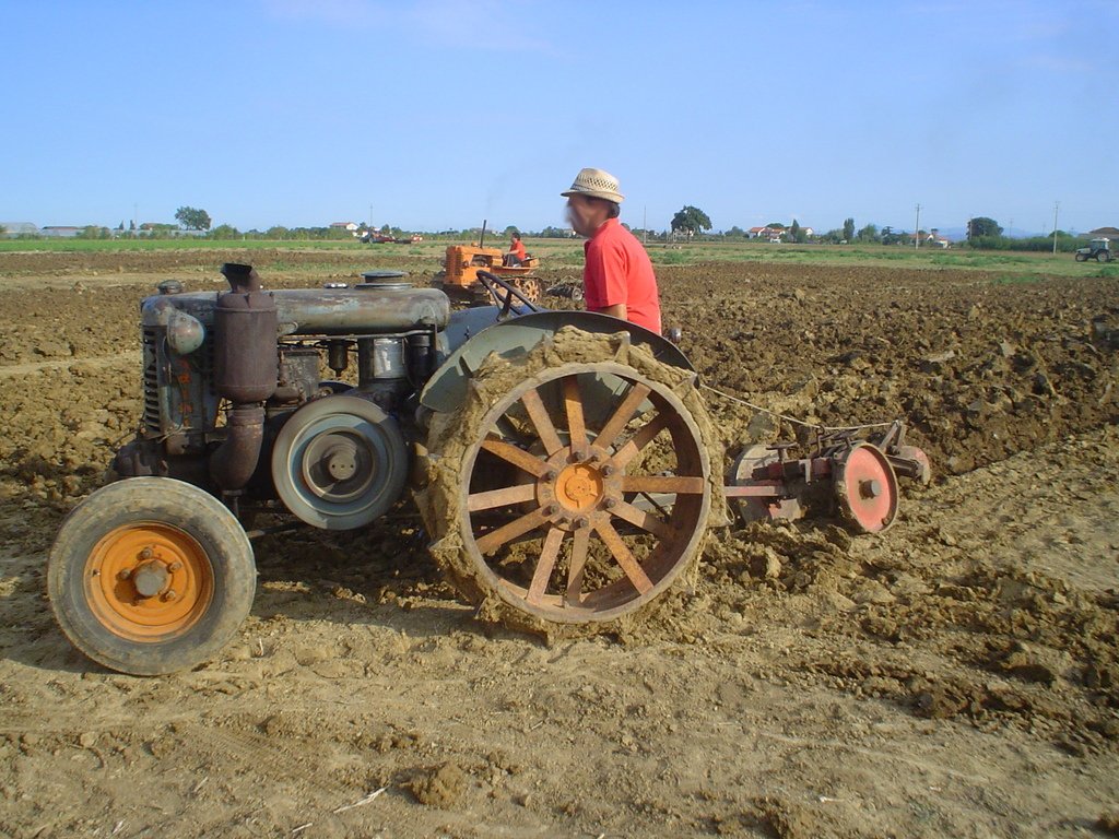 Landini