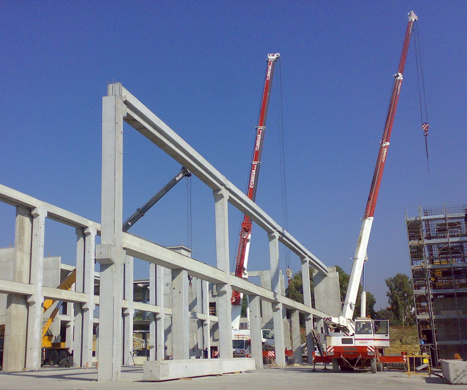 nino80 nuovo auchan Zia lisa Catania