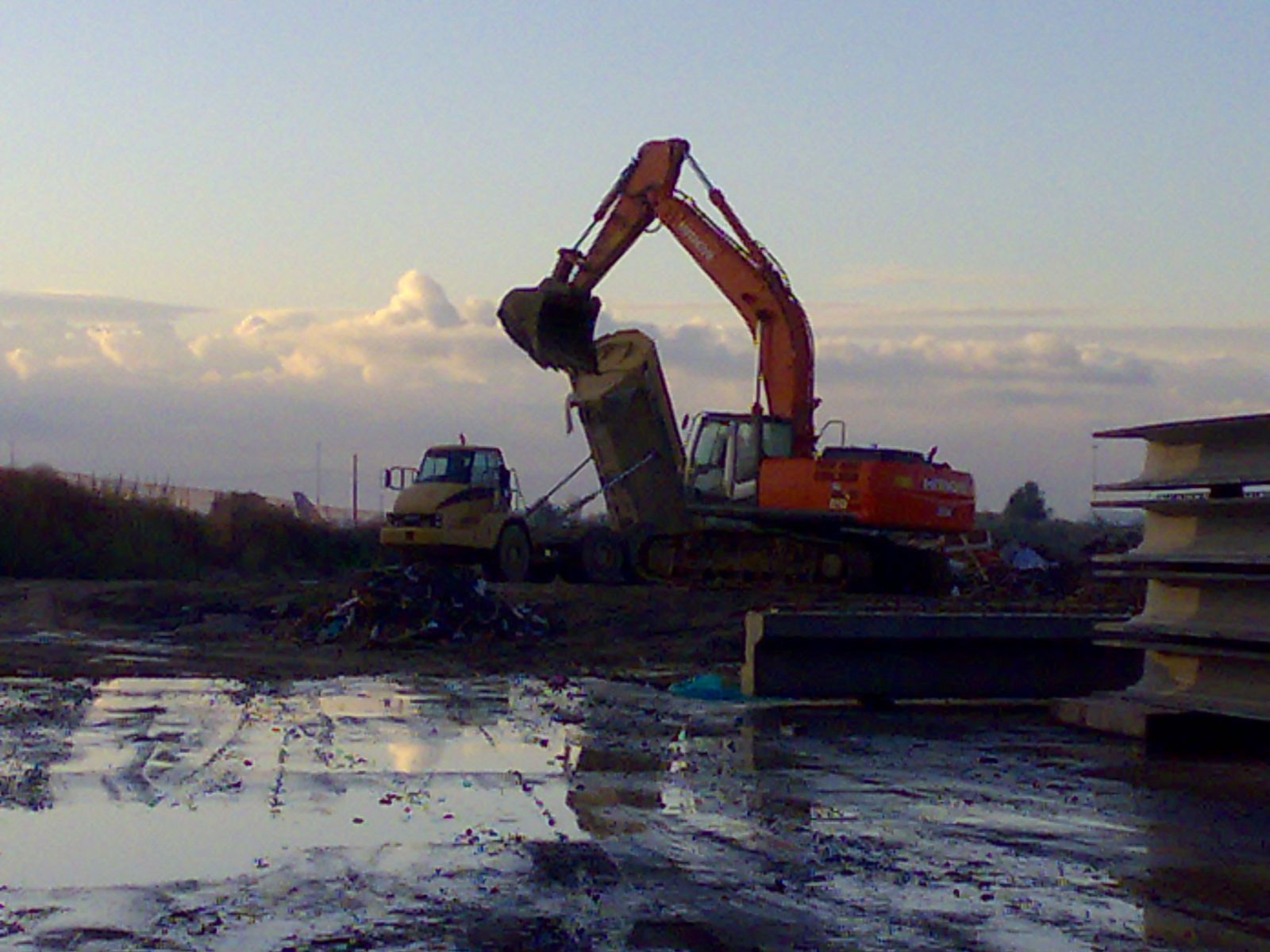 nuovo AUCHAN ZIA LISA CATANIA NINO pelaco
