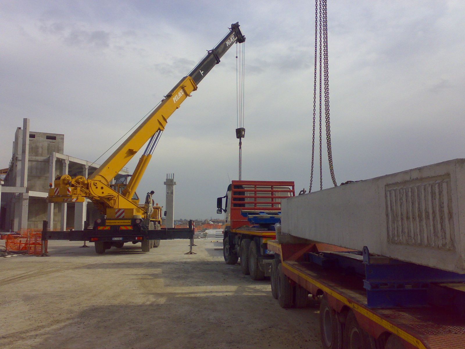 nuovo AUCHAN ZIA LISA CATANIA NINO pelaco