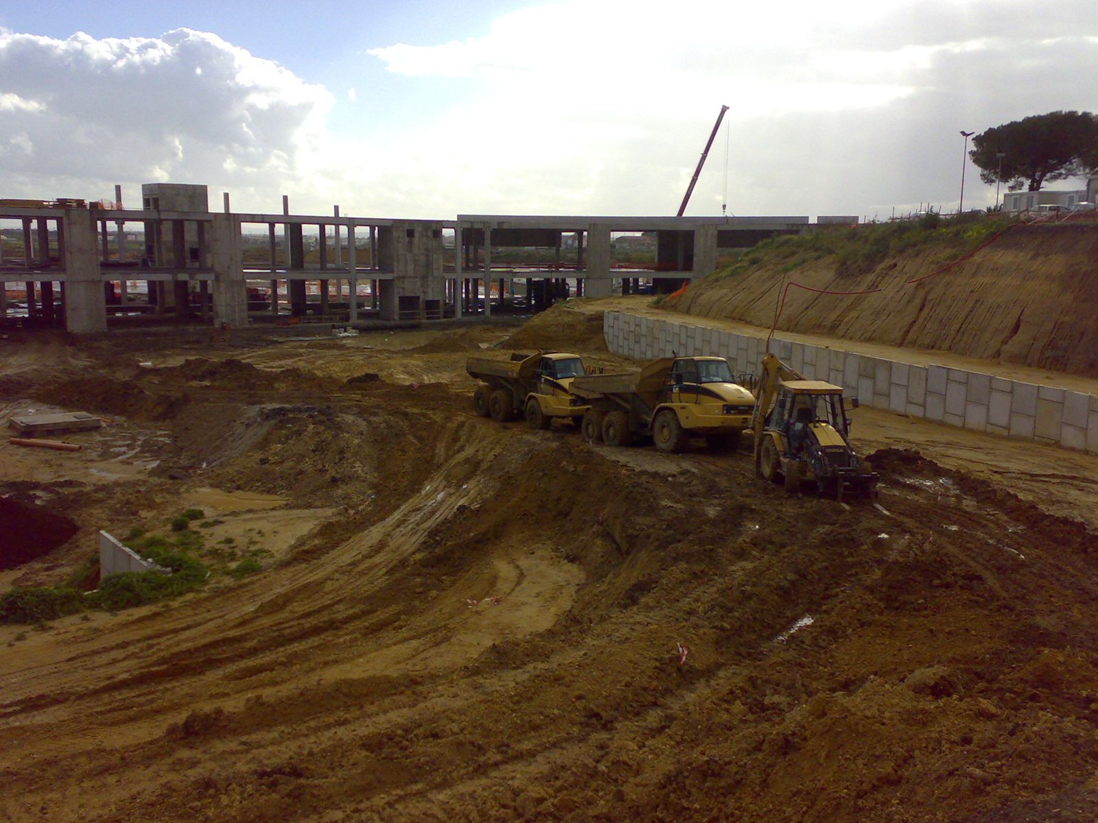 Auchan CATANIA .... nino 80