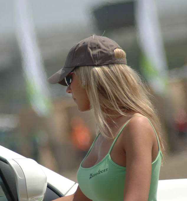 Dieselross Show