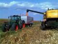 fendt 818..